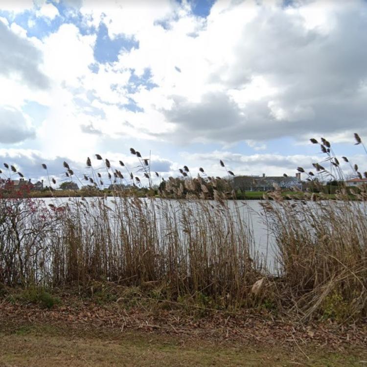 Old Town Pond where the car was hidden