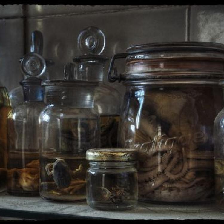 This image by photographer Alicia Rius is totally creepy. I took this idea OTT and had the Homerton Lab in The Grotto's Secret full of weird bottles like this. Find out when my character sees this horrible sight and what happens next in The Grotto's Secret suspense thriller.